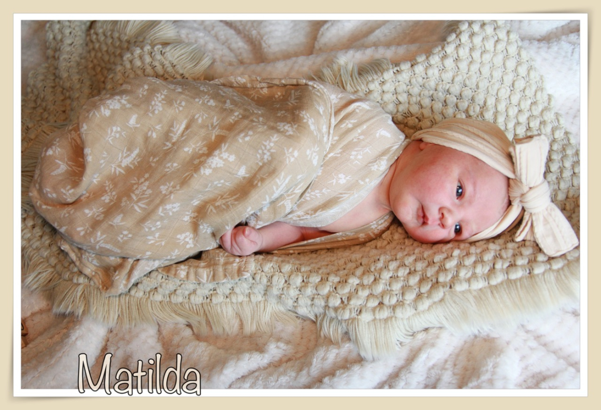 Babygalerie Oktober