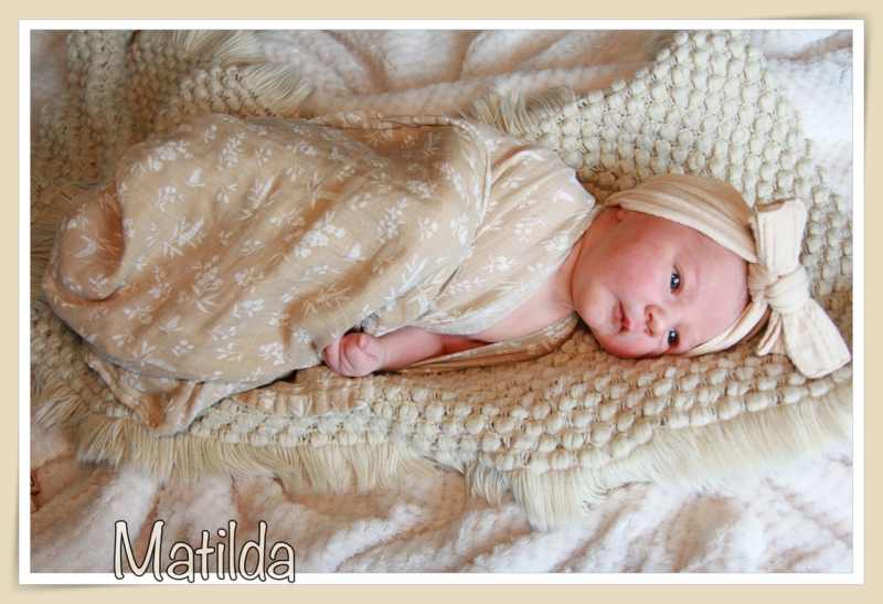 Babygalerie Oktober