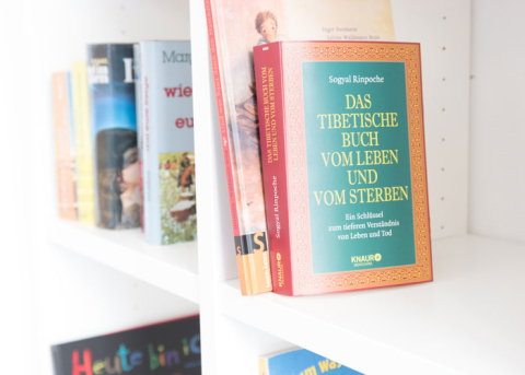 Bücherregal