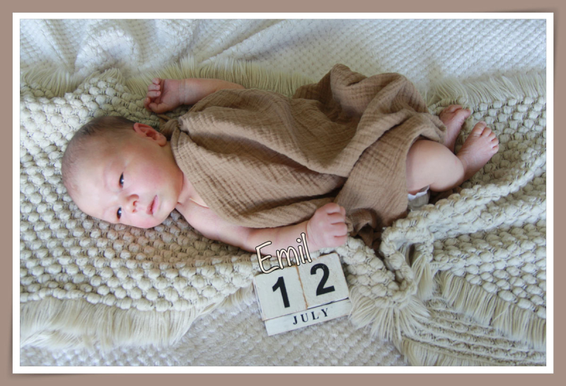 Babygalerie Juli