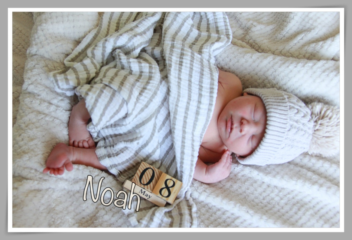 Babygalerie Mai
