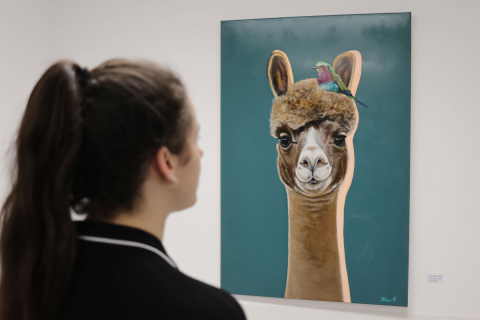 Kunst in unseren Kliniken