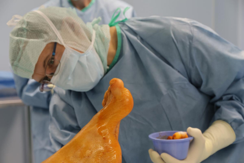 Klinik für Orthopädie, Unfall- und Wirbelsäulenchirurgie