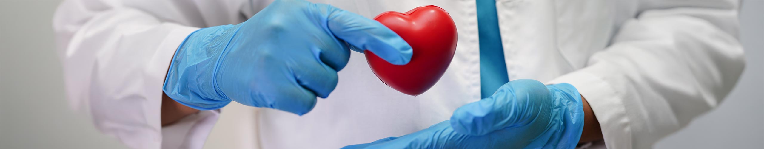Dekobild Organspende
