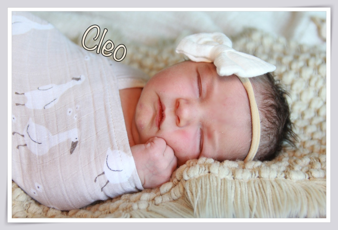 Babygalerie September
