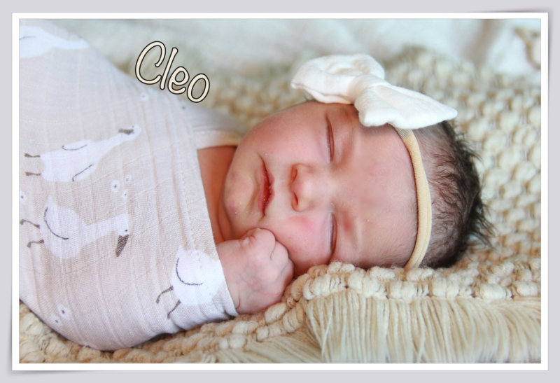 Babygalerie September