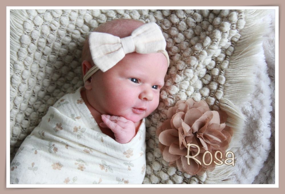 Unsere Neugeborenen in den Neckar-Odenwald-Kliniken Buchen