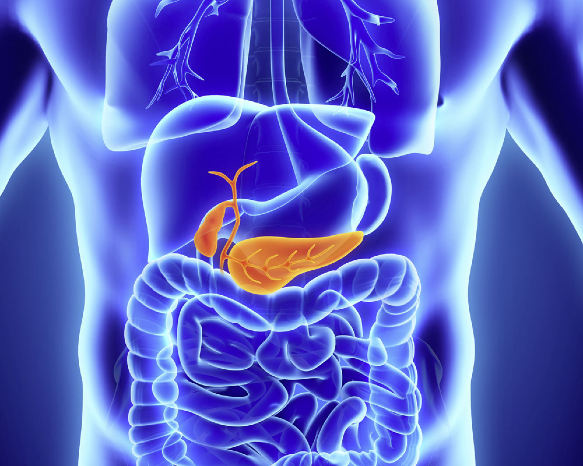 Diabetologie